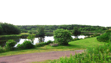 Broom Fisheries Annan | Troutflies UK