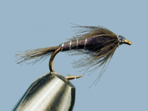 black silver rib nymph