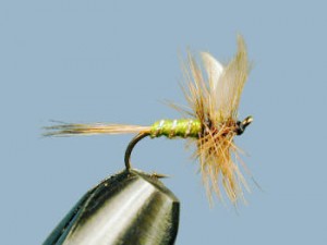 greenwell glory winged dry