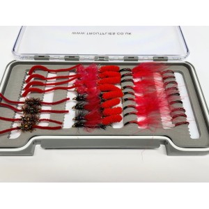 42 Bloodworm, boxed collection