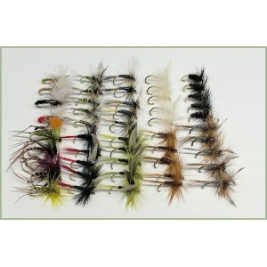 50 Dry Flies, Great Selection 