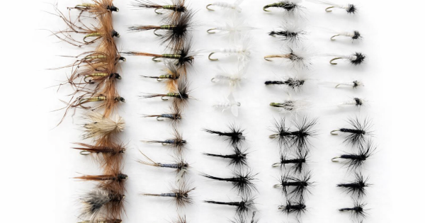 Lot De 24 Mouches Pour Truite – Sedge Et Dry Varieties – Tailles Mélangées, Qualité Supérieure Troutflies UK