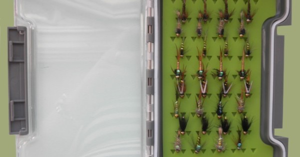 Troutflies UK Boxed Fishing Flies Boîte de pêche mouches, 24 Wet & Dry mouches, dans une boîte Lanyard Fly. Taille et de type mixte