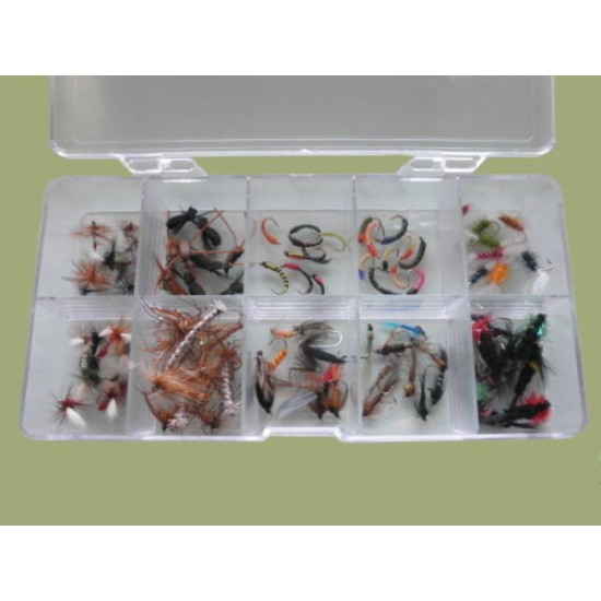100 Mixed Flies in a Clear Presentation Box
