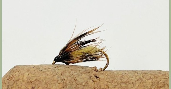 Caddis Nymph Trout Fly fly fishing -Troutflies UK