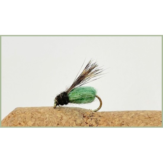 Nymph Caddis Wet Fly Patterns 12 Nymph Pupa Caddis, Amber And La