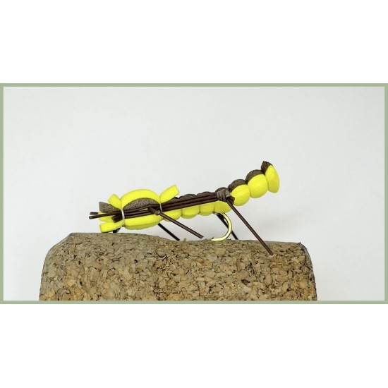 Brown and Yellow Grasshopper