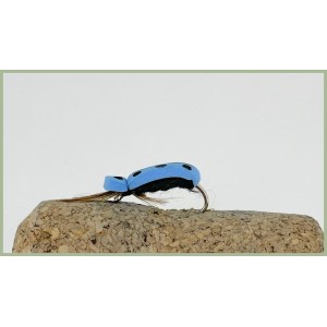 Blue Lady Beetle