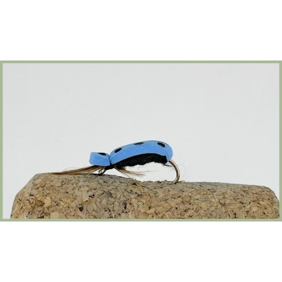 Blue Lady Beetle