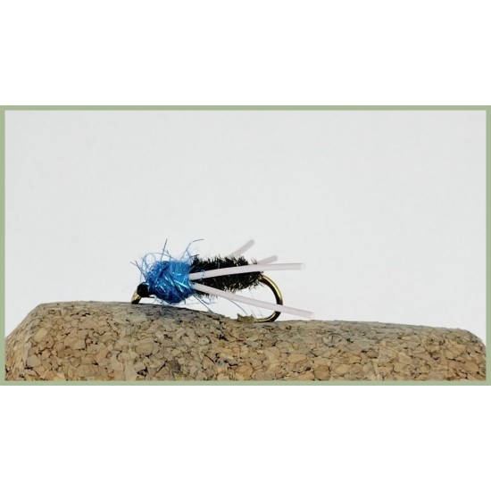 Blue Thorax Beetle