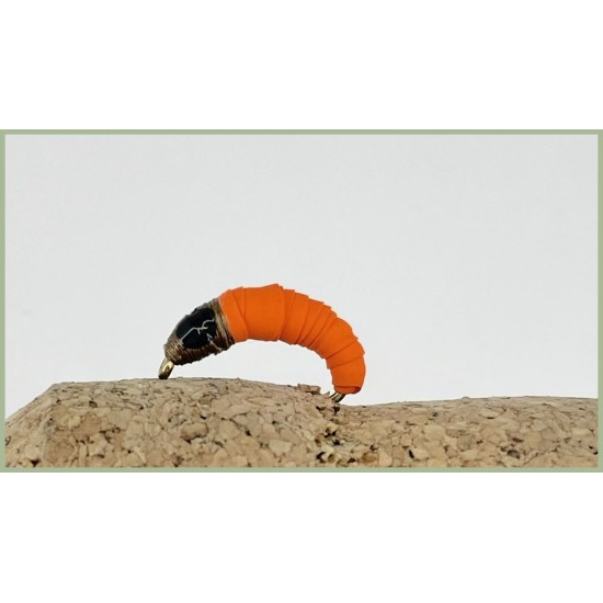 Orange Maggot