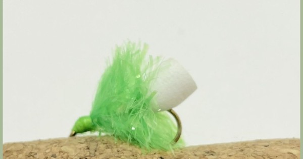 Foam Ass Blobs, AKA FAB, 6 Pack Black, Fishing Flies, Size 10