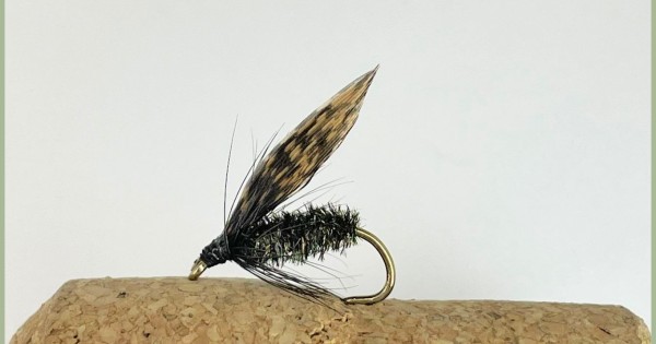 Alder Wet Fly, fly fishing Troutflies UK