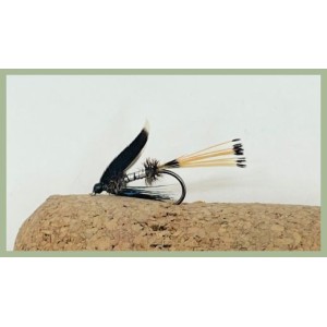 Barbless Prince Charming Wet Fly 