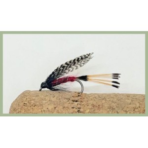 Barbless Teal and Red Wet Fly 