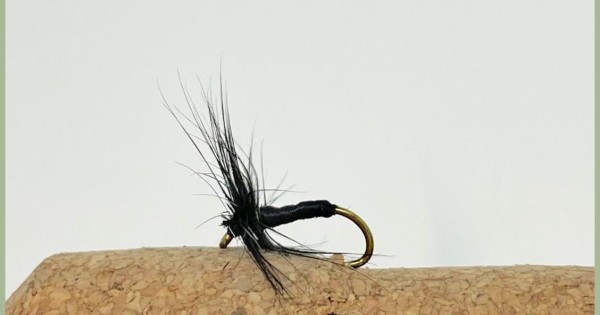Dry Trout Fishing Flies,18 Pack, Black Gnat, Greenwell. Black & Red