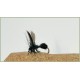 24 Black Dries, Spider, Gnats, Midge, Ants