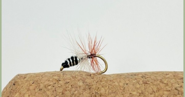 Leckfor Professor dry fishing fly Troutflies UK