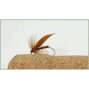Brown Sedge Fly