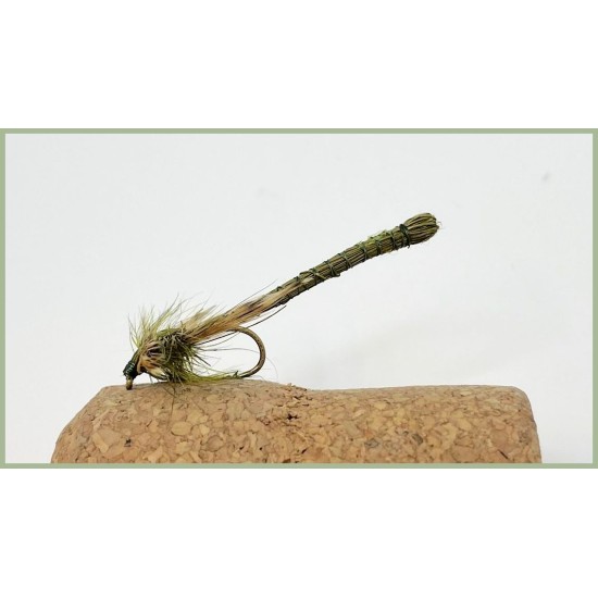 Olive Dragon Fly