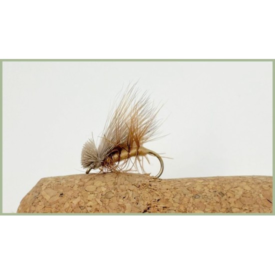 40 Boxed Sedge with Mayflies