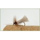 40 Boxed Sedge with Mayflies