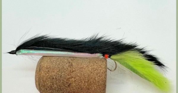 TUBA ZEPHYR FLEX BLACK/LIME - Marine Corail - Nouméa