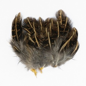 English Partridge Striped Shoulder Feathers