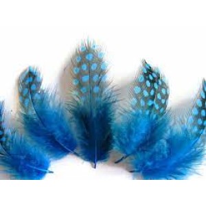 Guinea Fowl Plumage Hackles - blue jay subs