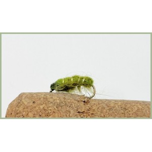 Olive Semtex Bug