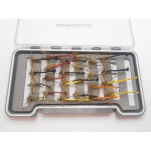 24 Boxed Daddys - Detached