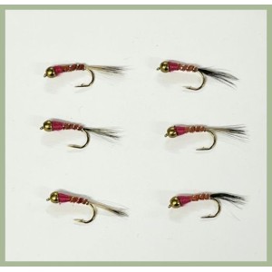 6  Goldhead Pink Peacock PACK C3 - CLEARANCE 