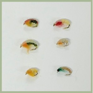 6 Mixed Colour Czech Nymph PACK H3 - CLEARANCE 