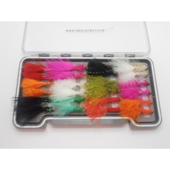 24 Woolly Bugger &  Nomads - Boxed Set