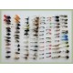 96 BARBLESS Fly Bumper Pack - Wets, Dries, Nymphs, Nymphs, Goldheads 