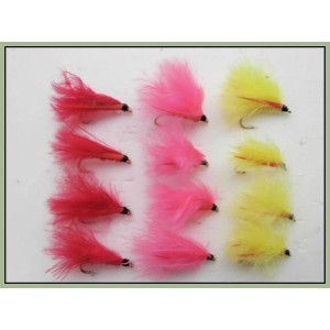 12 Mini Cormorant, Yellow,Pink & Red