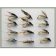 12 Wet Flies - Invicta, Silver Pearl and Standard