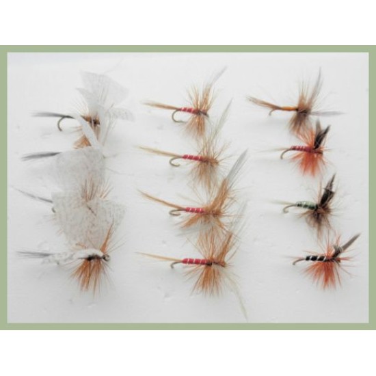 12 Dry Flies - Lunns Particular, Houghton Ruby, Spinners