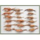 18 Standard Shrimp Trout Flies - Goldhead & Unweighted