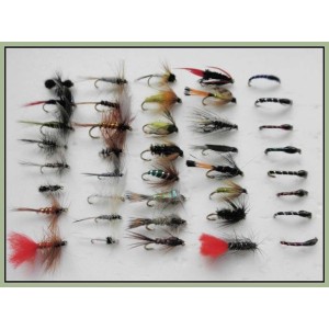 40 Mixed Trout flies