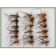 18 Hoppers, Mixed Colours