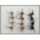 12 Barbless Daddy Long Legs - GH & unweighted, Black & Natural 