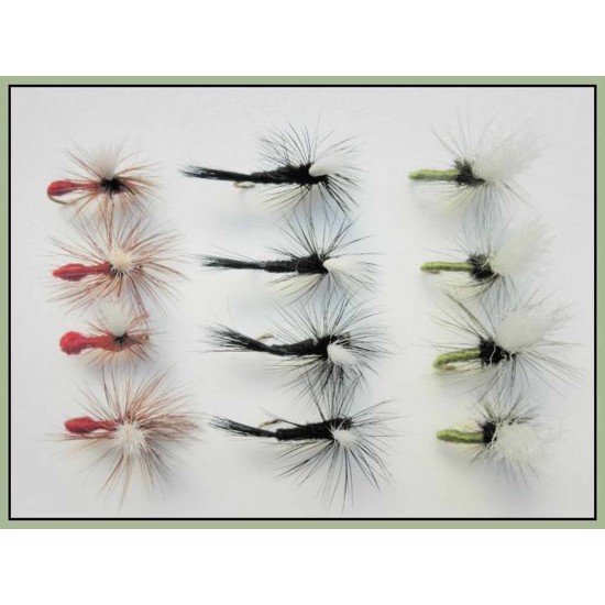 BARBLESS Ally McCoist Fishing Flies, 12 Pack Size 10, Three Colours, For Fly Fishing