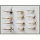 12 Dry Flies -Tups, Kites Imp, Ginger Quill