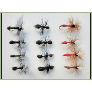 12 Dry Flies - Mixed Ants - traditional, winged & red para
