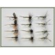 12 Dry Flies - Greenwell Glory, Three Varieties