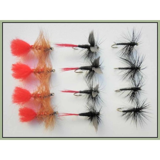 black gnat fly, spider trout fly, soldier palmer