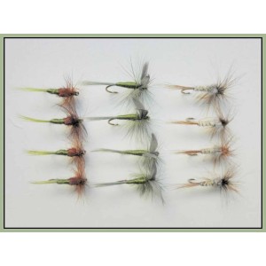 12 Dry Flies - Hatching Olive, Olive Dun & Kites Imperial