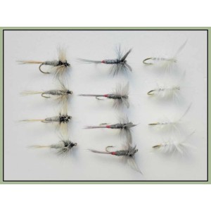 12 Dry Flies - Duster,Iron Blue & Moth