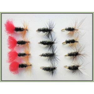 12 Dry Flies - Red Tag, Black & Peacock & Coachman